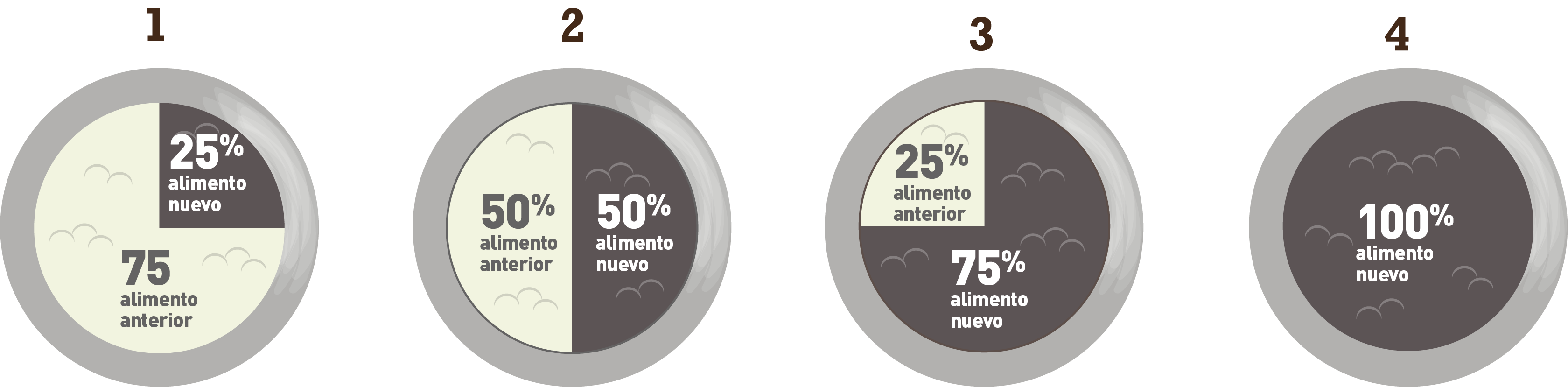 Dieta de transición